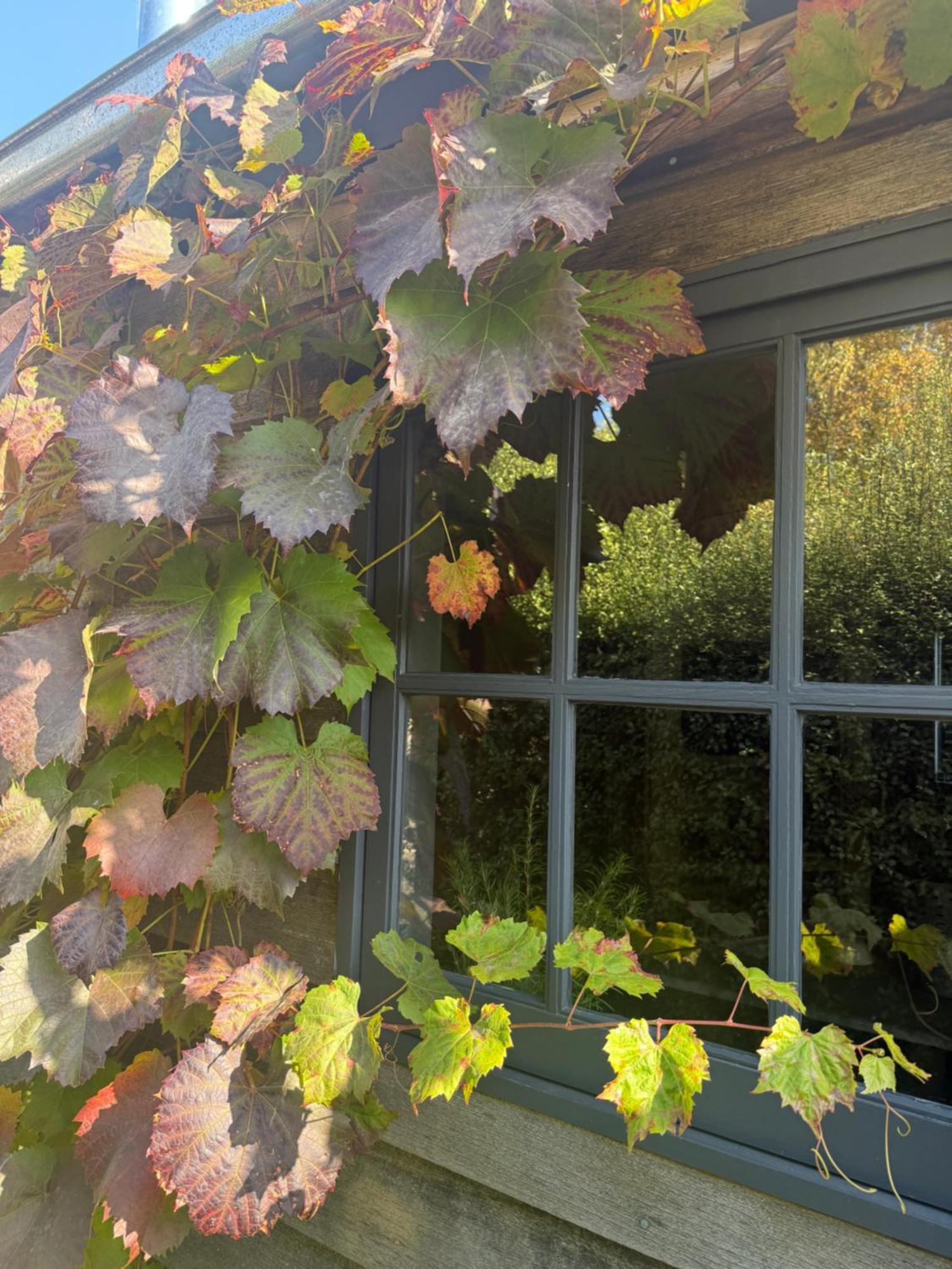 Bed & Breakfast Elm Barn Oatlands