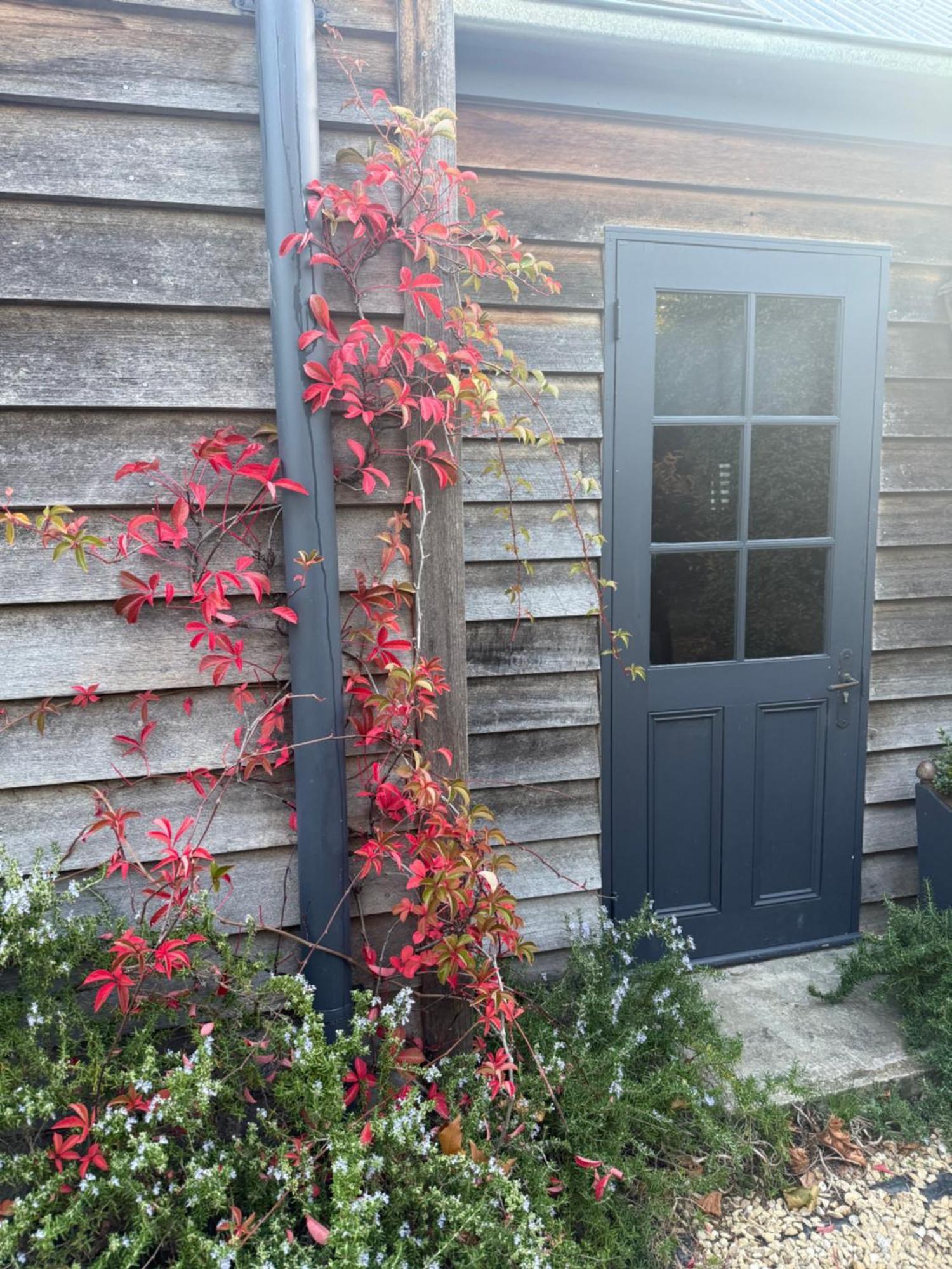 Elm Barn Bed & Breakfast Oatlands